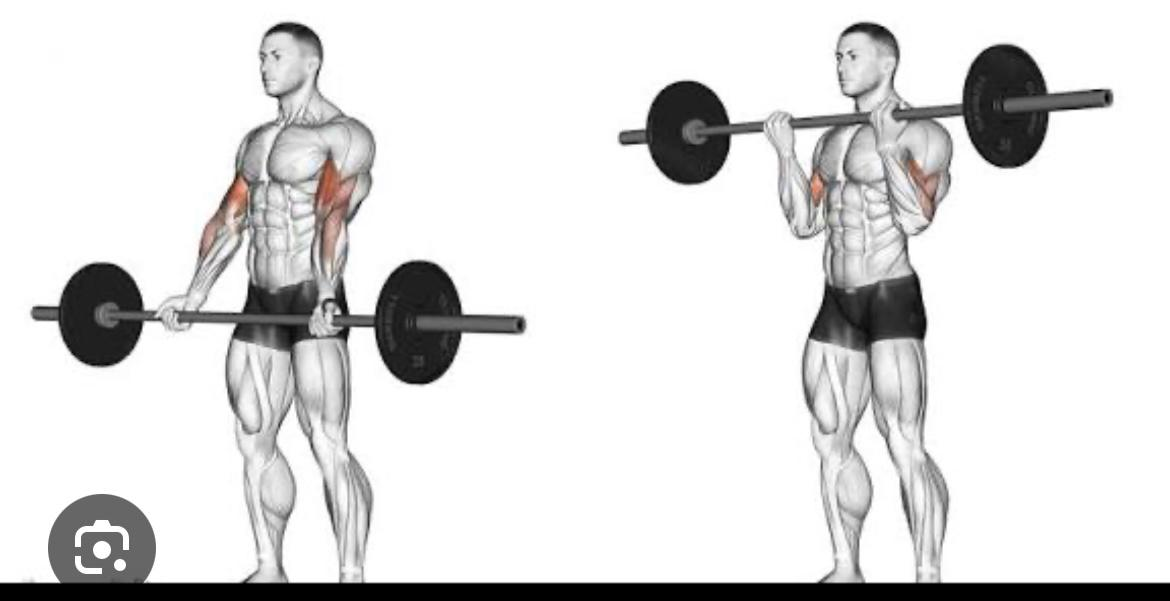 باي بار واسع - Barbell Biceps Curl