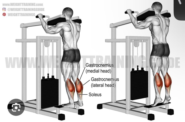 جهاز بطات - Calf Raise Machine