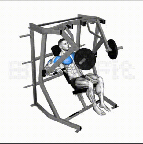 جهاز صدر سفلي - Decline Chest Press Machine