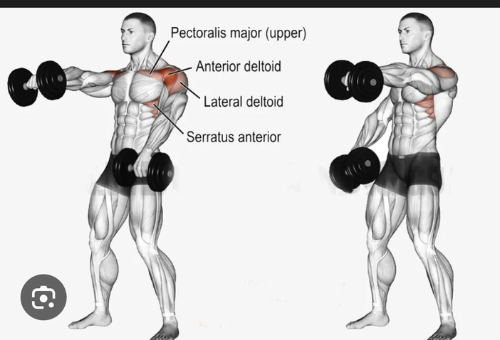 رفرفة أمامية - Front Raises