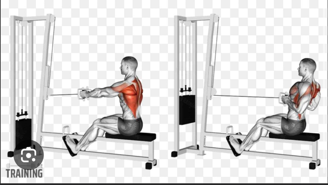سحب أرضي ضيق بالمثلث - Seated Cable Row